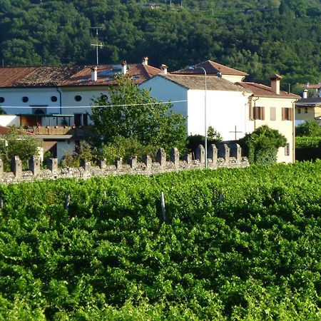 Agriturismo Grillo Iole Winery Prepotto  Extérieur photo